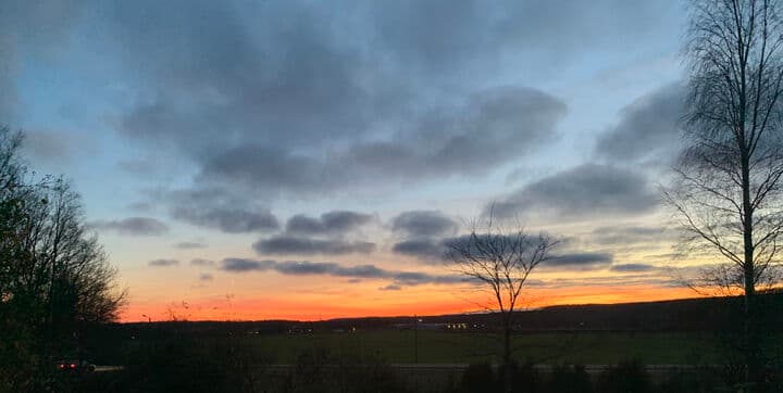 Romansbedrägerier 